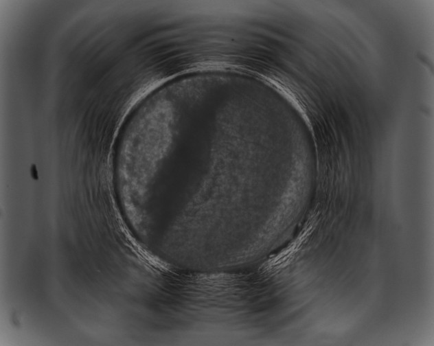 X0000097461045200803201422