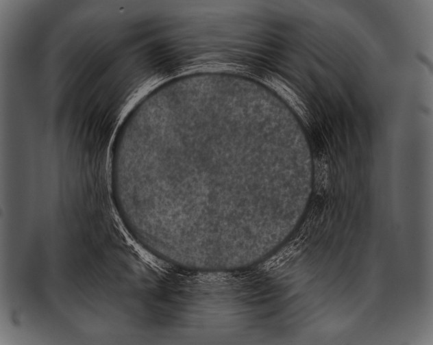 X0000097461046200803201422