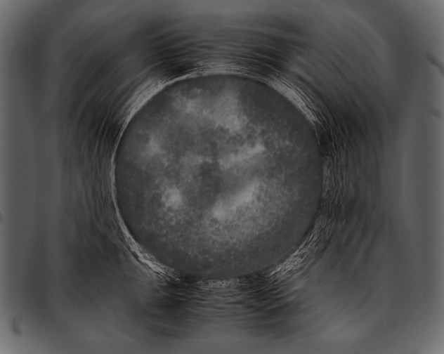 X0000097461047200803201422