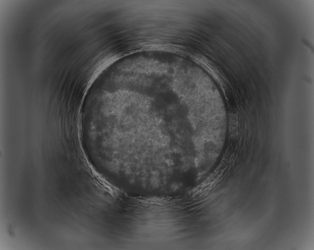 X0000097461048200803201422