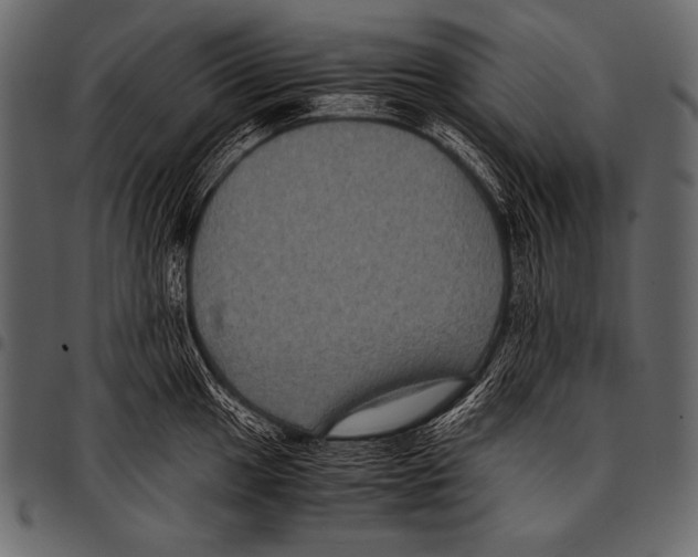 X0000097461049200803201422