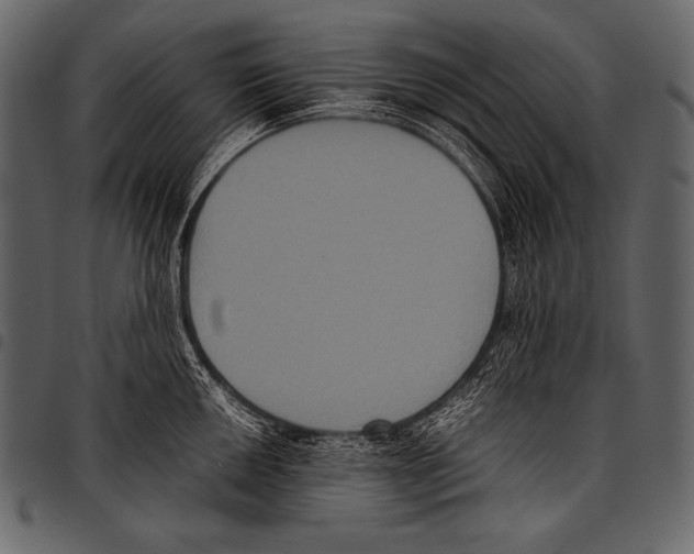 X0000097461050200803201422