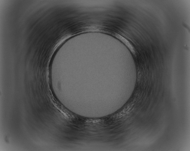 X0000097461051200803201422