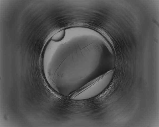 X0000097461053200803201422