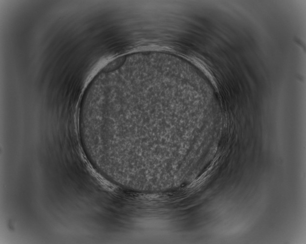 X0000097461054200803201422