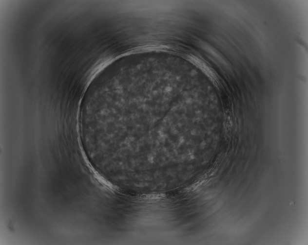 X0000097461055200803201422