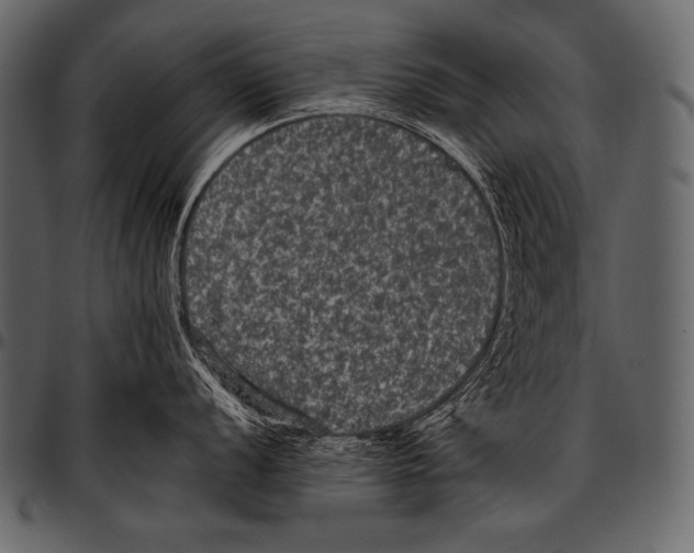 X0000097461056200803201422