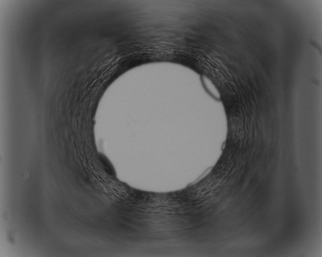 X0000097461057200803201421