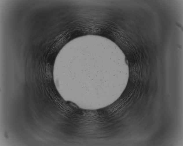 X0000097461058200803201421