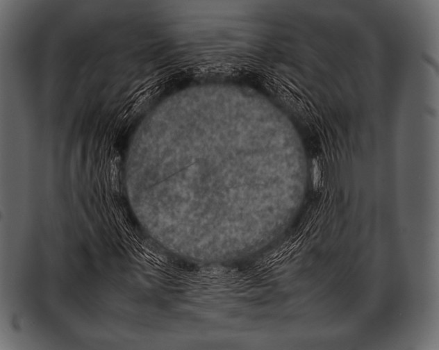 X0000097461059200803201421