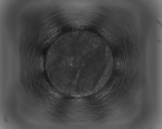 X0000097461060200803201421