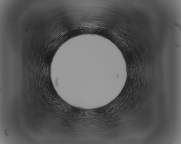 X0000097461061200803201421