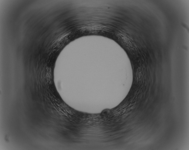 X0000097461062200803201421