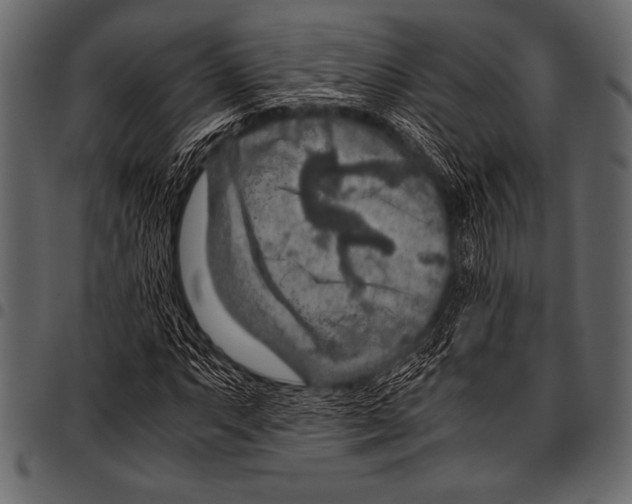 X0000097461063200803201421