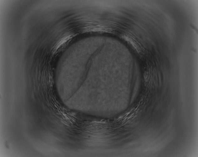 X0000097461064200803201421