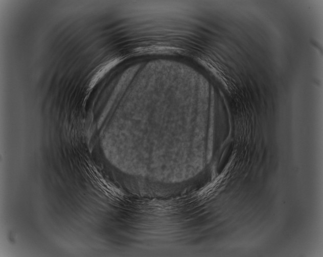 X0000097461066200803201421