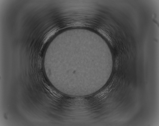 X0000097461067200803201421