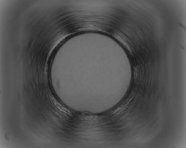 X0000097461068200803201421