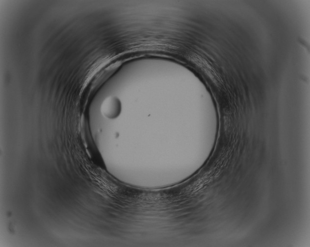 X0000097461069200803201421