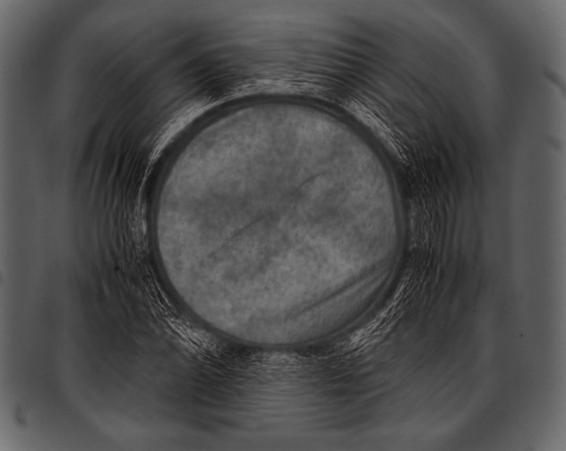 X0000097461070200803201421