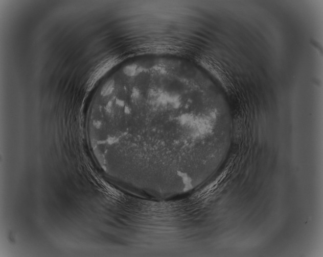 X0000097461071200803201421