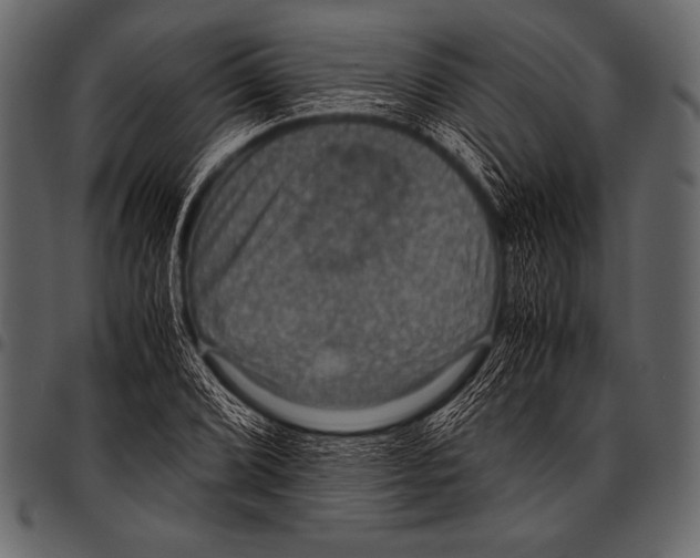 X0000097461072200803201421