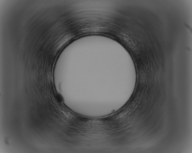 X0000097461073200803201421