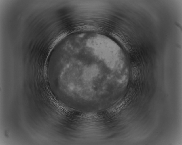 X0000097461074200803201421