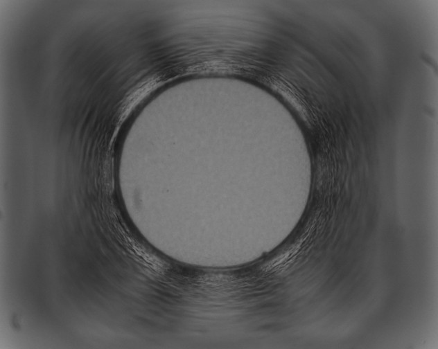 X0000097461075200803201421