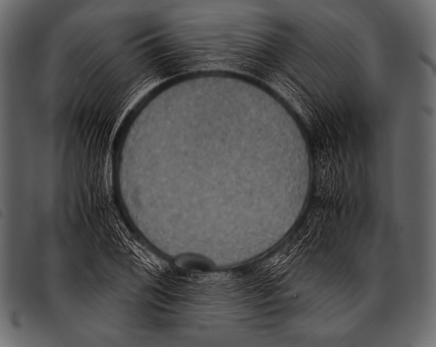 X0000097461076200803201421