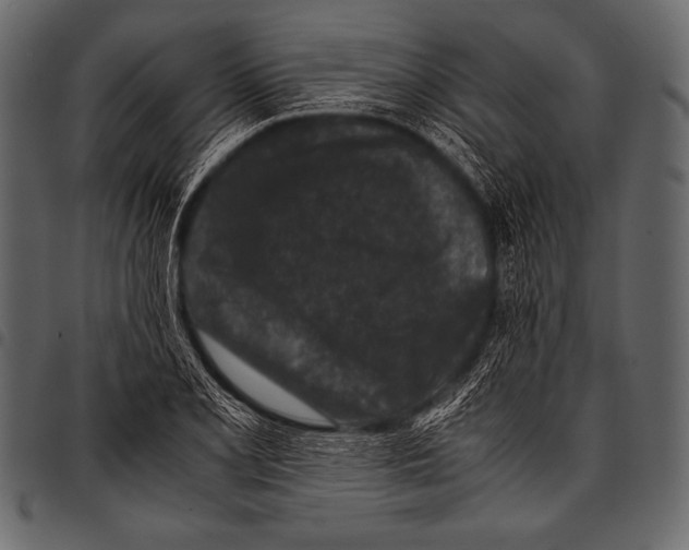 X0000097461077200803201421