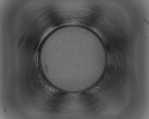 X0000097461078200803201421