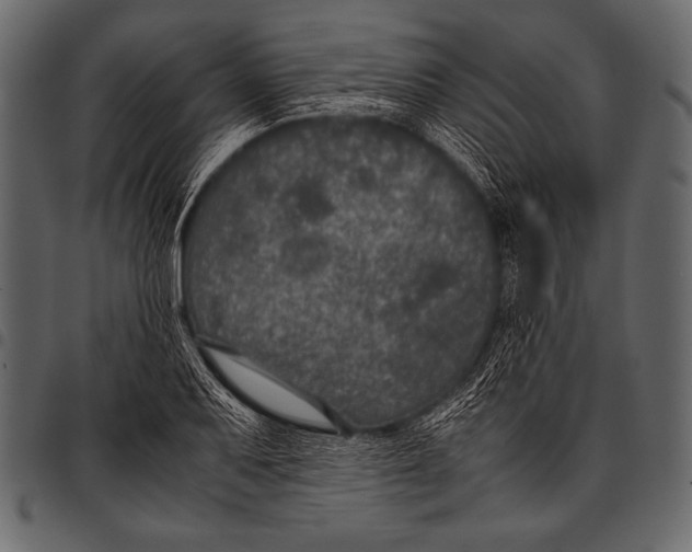 X0000097461079200803201421