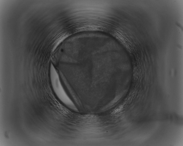 X0000097461081200803201421