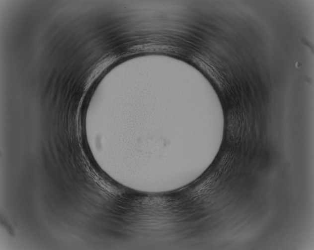 X0000097461082200803201421