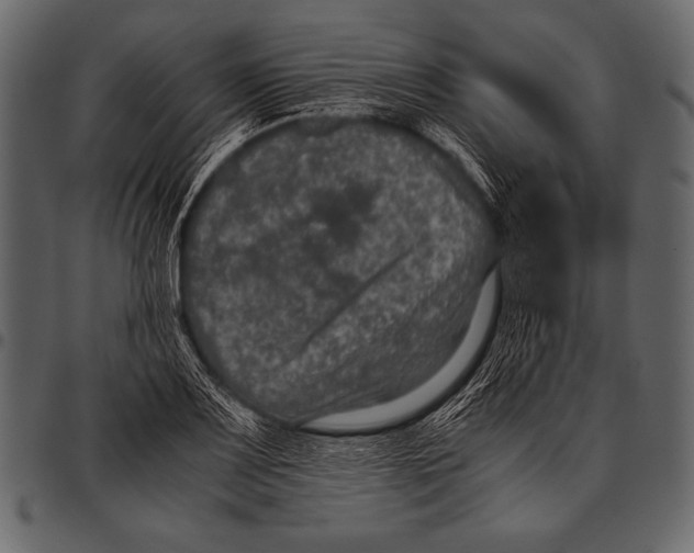 X0000097461083200803201421