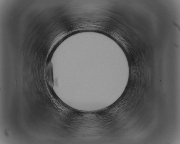 X0000097461085200803201421