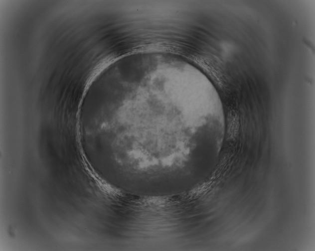 X0000097461086200803201421