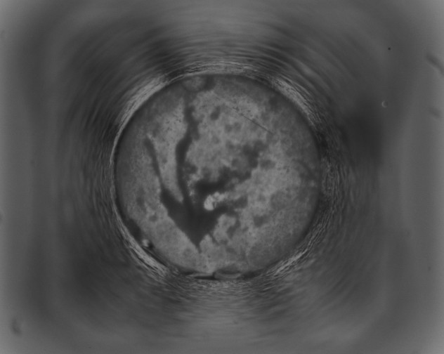 X0000097461087200803201421