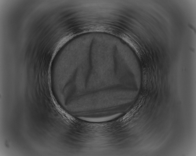 X0000097461088200803201421