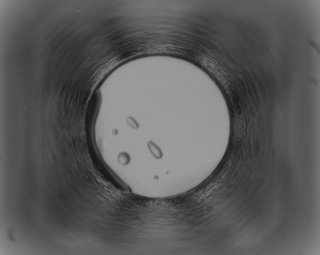 X0000097461089200803201421