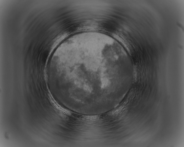 X0000097461090200803201421