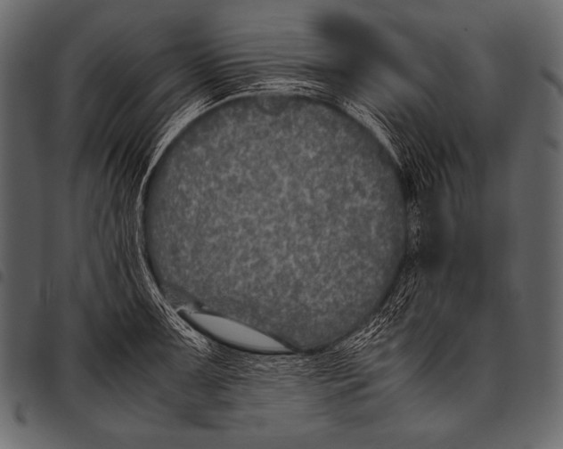 X0000097461091200803201421