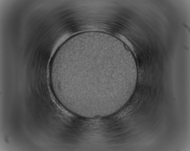 X0000097461096200803201421