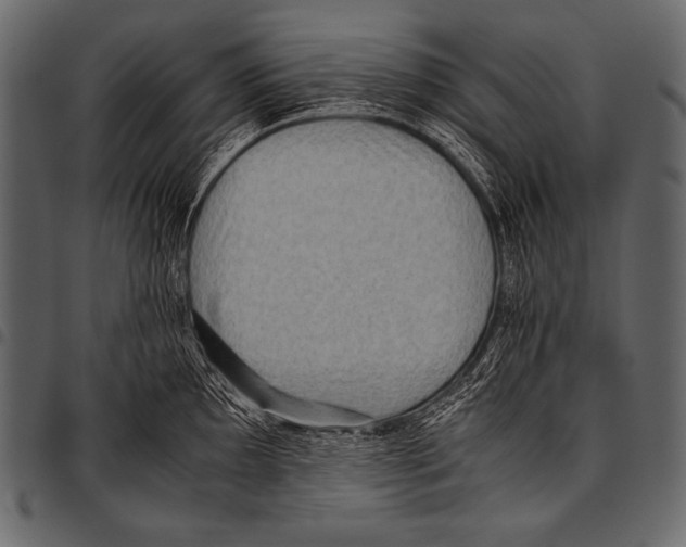 X0000097461097200803201421