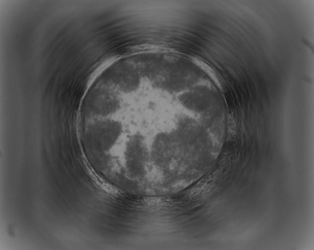 X0000097461098200803201421