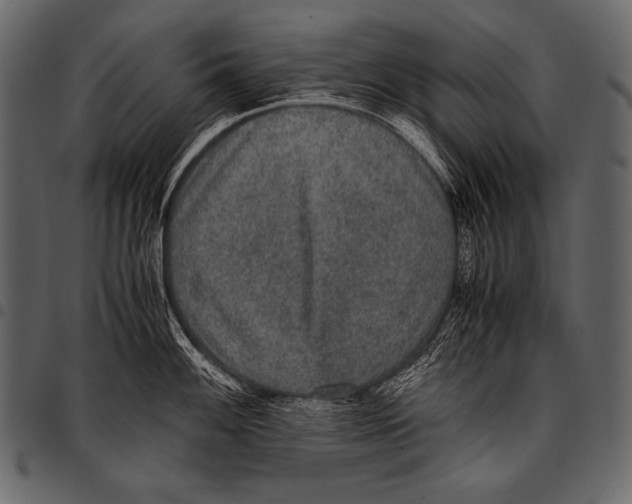 X0000097461100200803201421