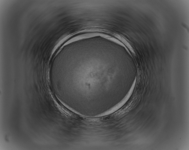 X0000097461101200803201421