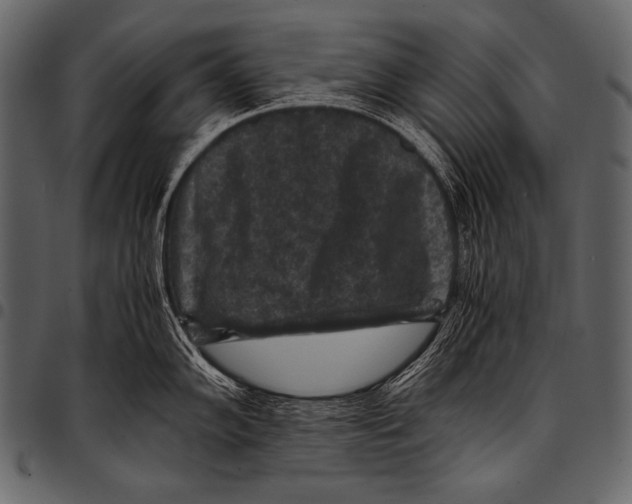 X0000097461102200803201421