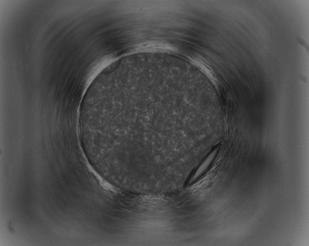 X0000097461103200803201421